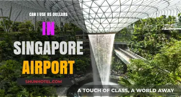 Using US Dollars in Singapore Changi Airport