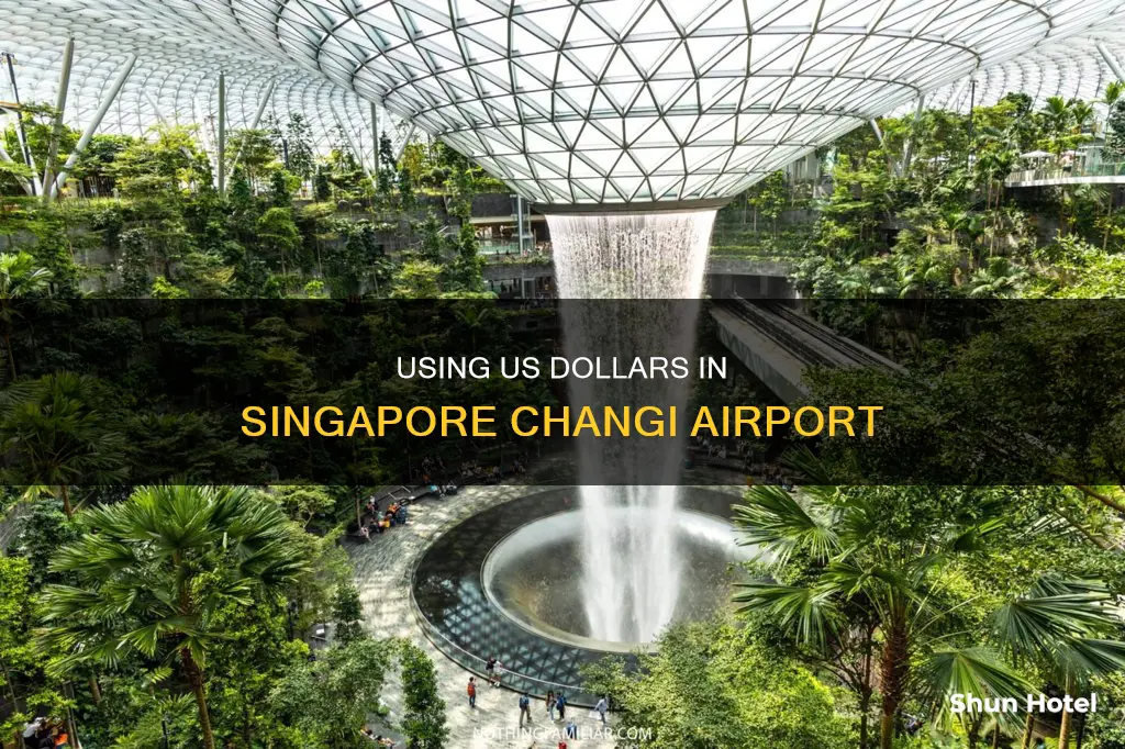 can i use us dollars in singapore airport