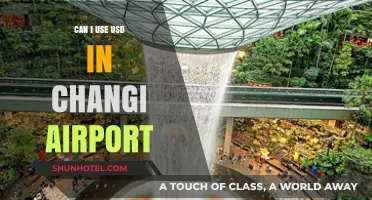 Using USD in Changi Airport: Is It Possible?