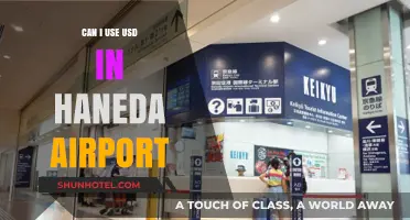 Using USD at Haneda Airport: Is It Possible?