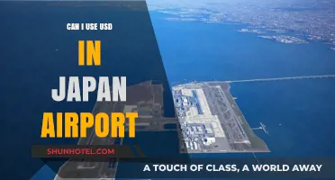 Using USD in Japan: Accepted at Airports?