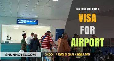 Vietnam Airport Entry: eVisa Requirements