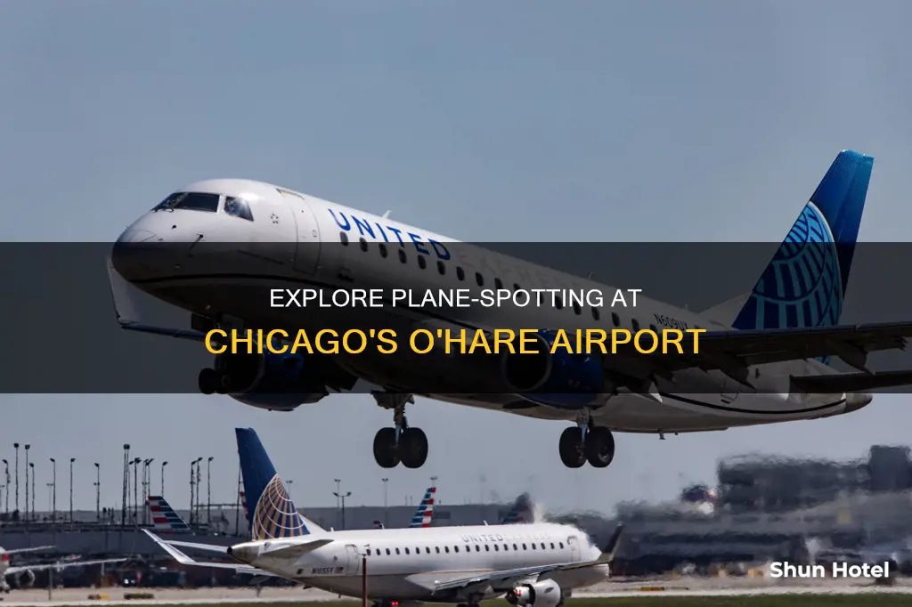 can i view planes at o