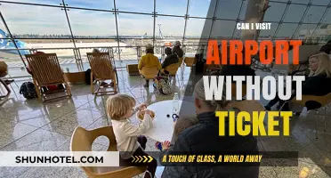 Exploring Airports: Ticket-Free Access and Attractions