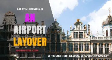 Exploring Brussels During a Layover: Is It Possible?