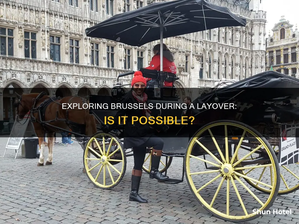 can i visit brussels in an airport layover