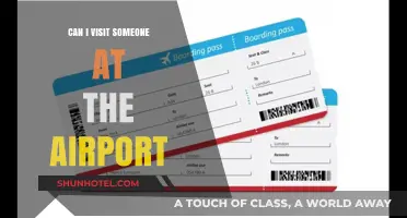 Exploring the Airport: Visiting a Friend or Family
