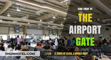 Waiting at the Airport Gate: Is It Allowed?