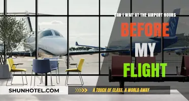 Waiting at the Airport: How Early is Too Early?