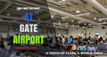 Airport Guest Waiting: Where and When?