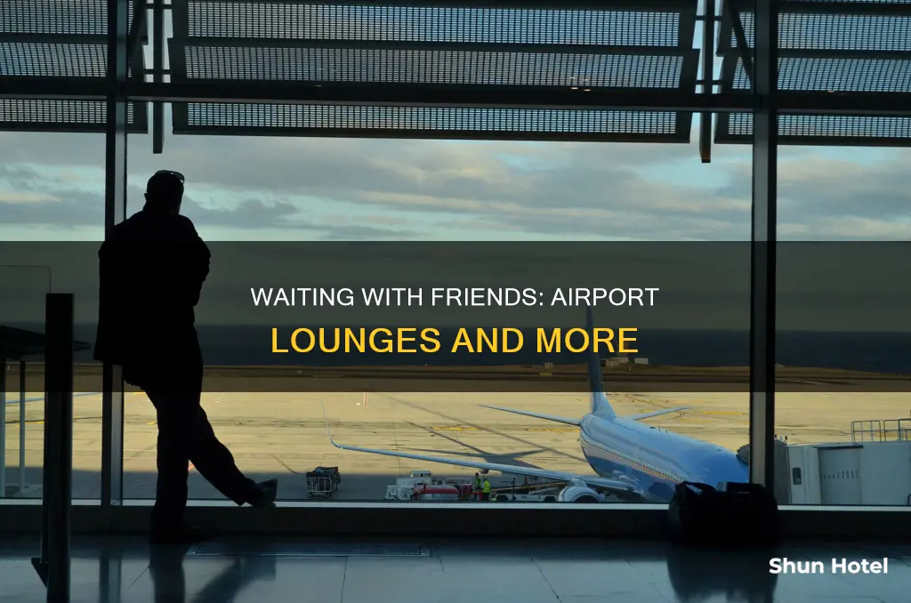 can i wait with my friend at the airport