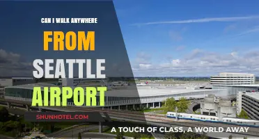 Exploring Seattle: Walking Trails from the Airport