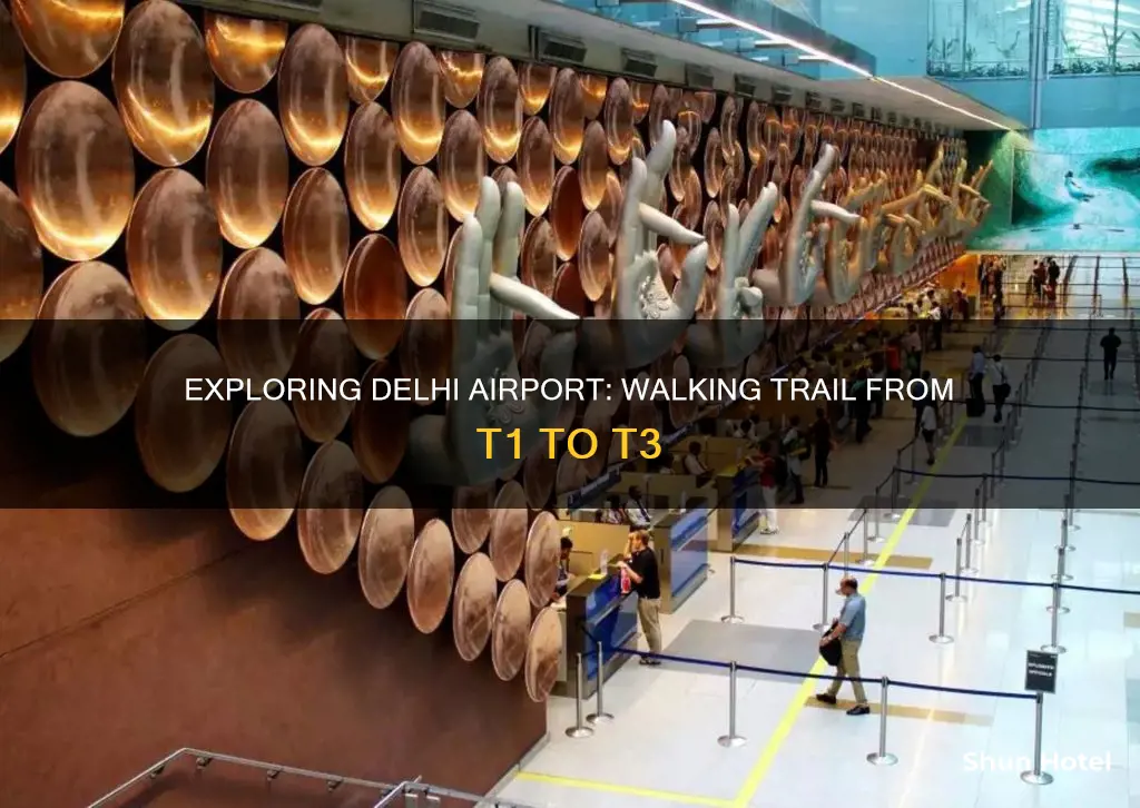 can i walk from t1 to t3 delhi airport
