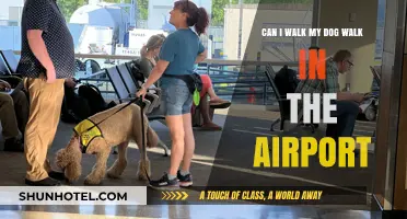 Exploring Airports With Your Dog: A Walk-Through Guide