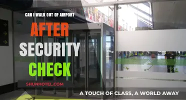 Exploring the Airport: Security Checks and Beyond