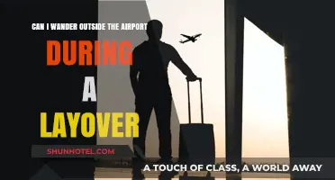 Exploring Airports: Can You Leave During Layovers?