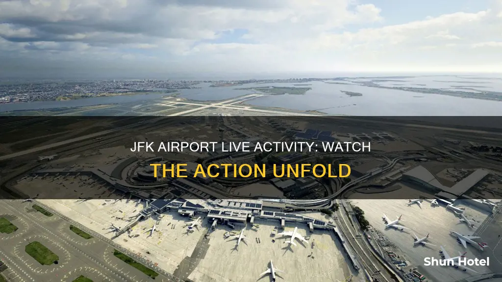 can i watch live activity at jfk airport
