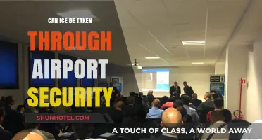 Airport Security: Can You Bring Ice?
