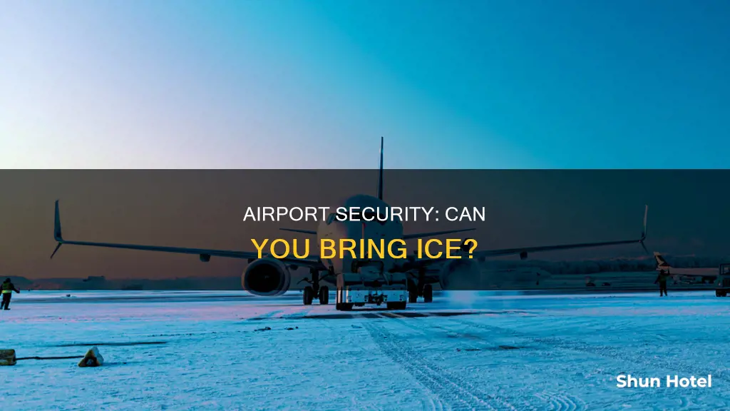 can ice be taken through airport security