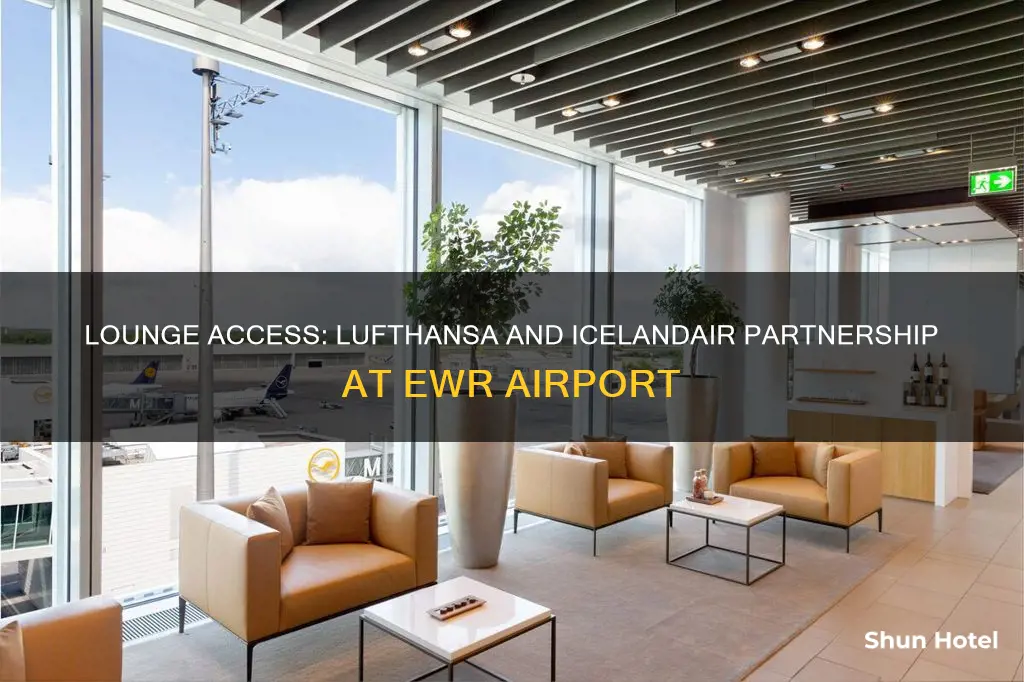can icelandic air passengers use lufthansa lounge at ewr airport