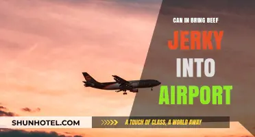 Bringing Beef Jerky to the Airport: What You Need to Know