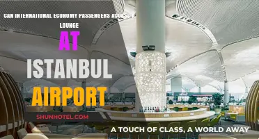 Istanbul Airport: Lounge Access for Economy Passengers?