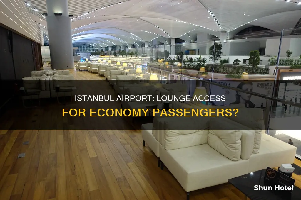 can international economy passengers access a lounge at istanbul airport