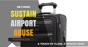 IT Luggage: Airport Abuse Survivor?