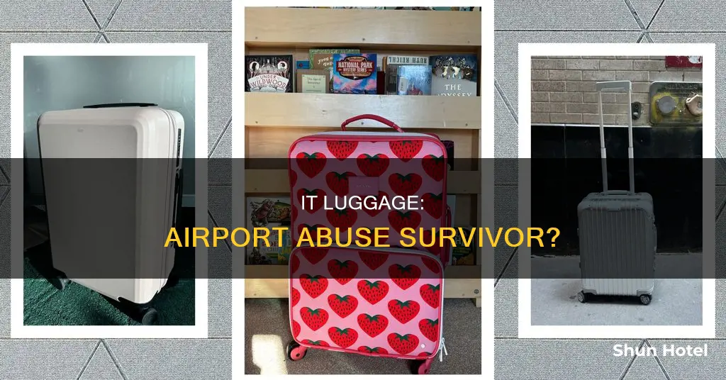 can it luggage sustain airport abuse