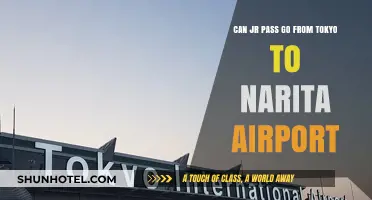 Jr. Pass: Tokyo to Narita Airport Travel