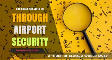 Airport Security: Kodak Fun Saver Allowed?