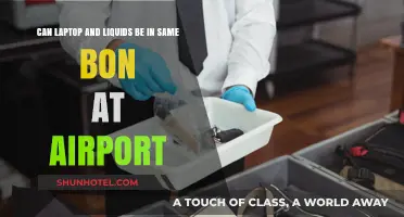 Laptops and Liquids: Airport Security Bon Rules