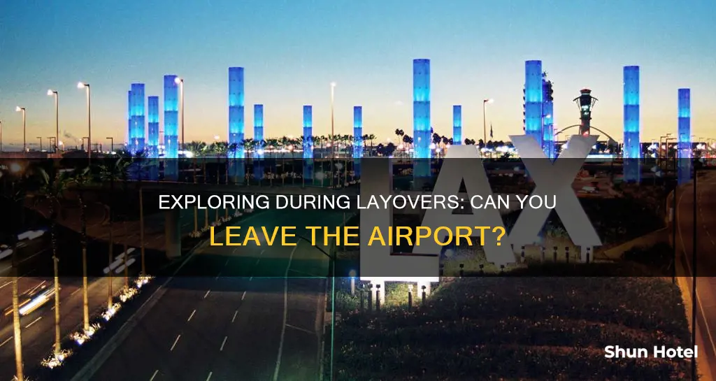 can layover leave airport