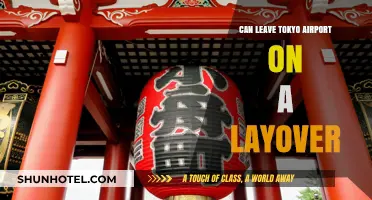 Exploring Tokyo on a Layover: Is It Possible?