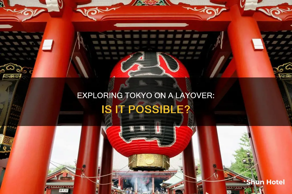 can leave tokyo airport on a layover