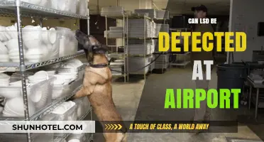 How Airports Detect LSD and Other Drugs
