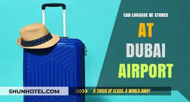 Dubai Airport: Luggage Storage Options and Facilities