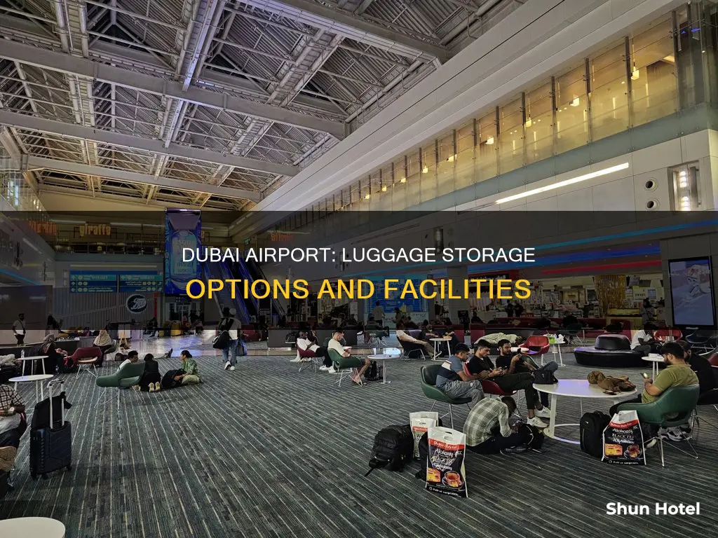 can luggage be stored at dubai airport