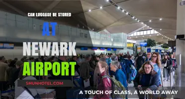 Storing Luggage at Newark Airport: Is It Possible?