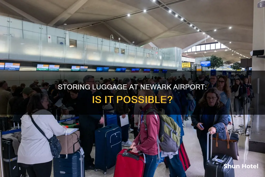 can luggage be stored at newark airport