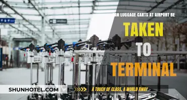 Luggage Carts: Terminal Transport or Not?