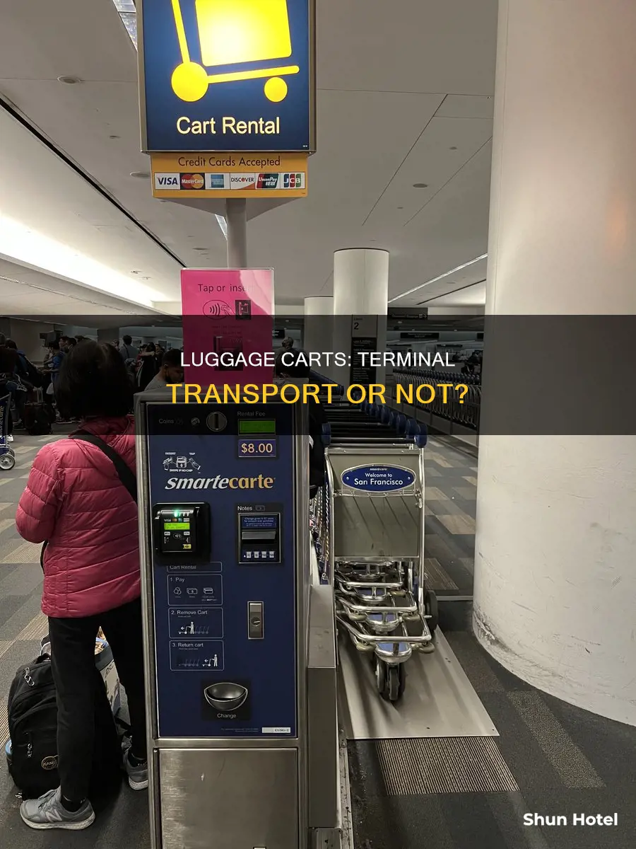 can luggage carts at airport be taken to terminal