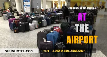 Luggage Mishandling: What Are the Odds?