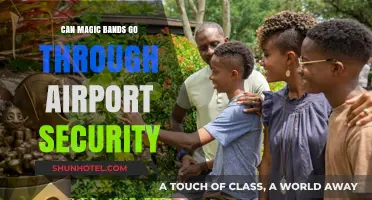 Magic Bands: Airport Security Clearance?