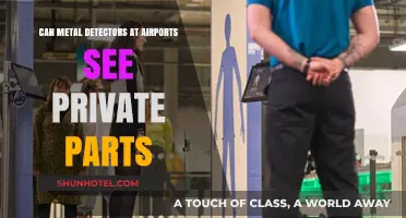 Airport Metal Detectors: Can They See Private Parts?