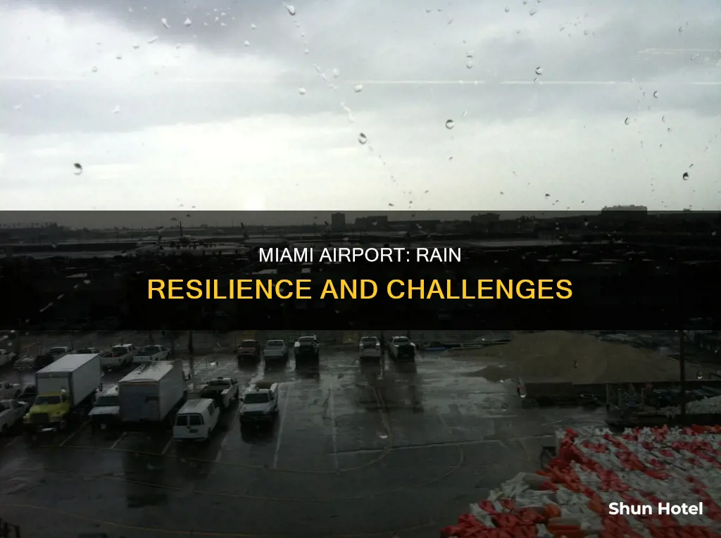 can miami airport cope with heavy rain