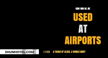Using Your MN DL for Air Travel: What You Need to Know