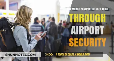 Mobile Passport: A Faster Way Through Airport Security?