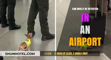 Molly Detection: Airports and Travel