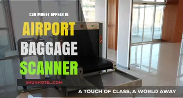Airport Baggage Scanners: Can Money Be Detected?